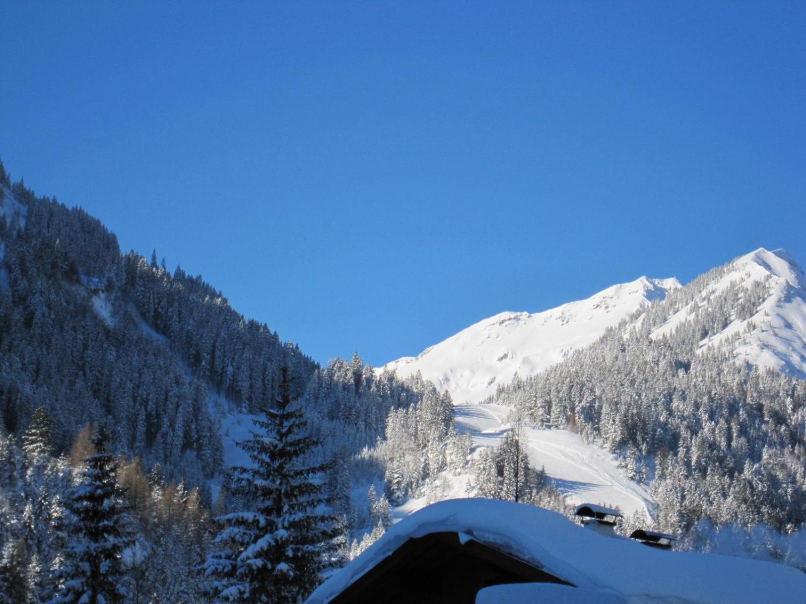 Am Muehlbach - Ferienwohnungen Luttinger Bichlbach Buitenkant foto