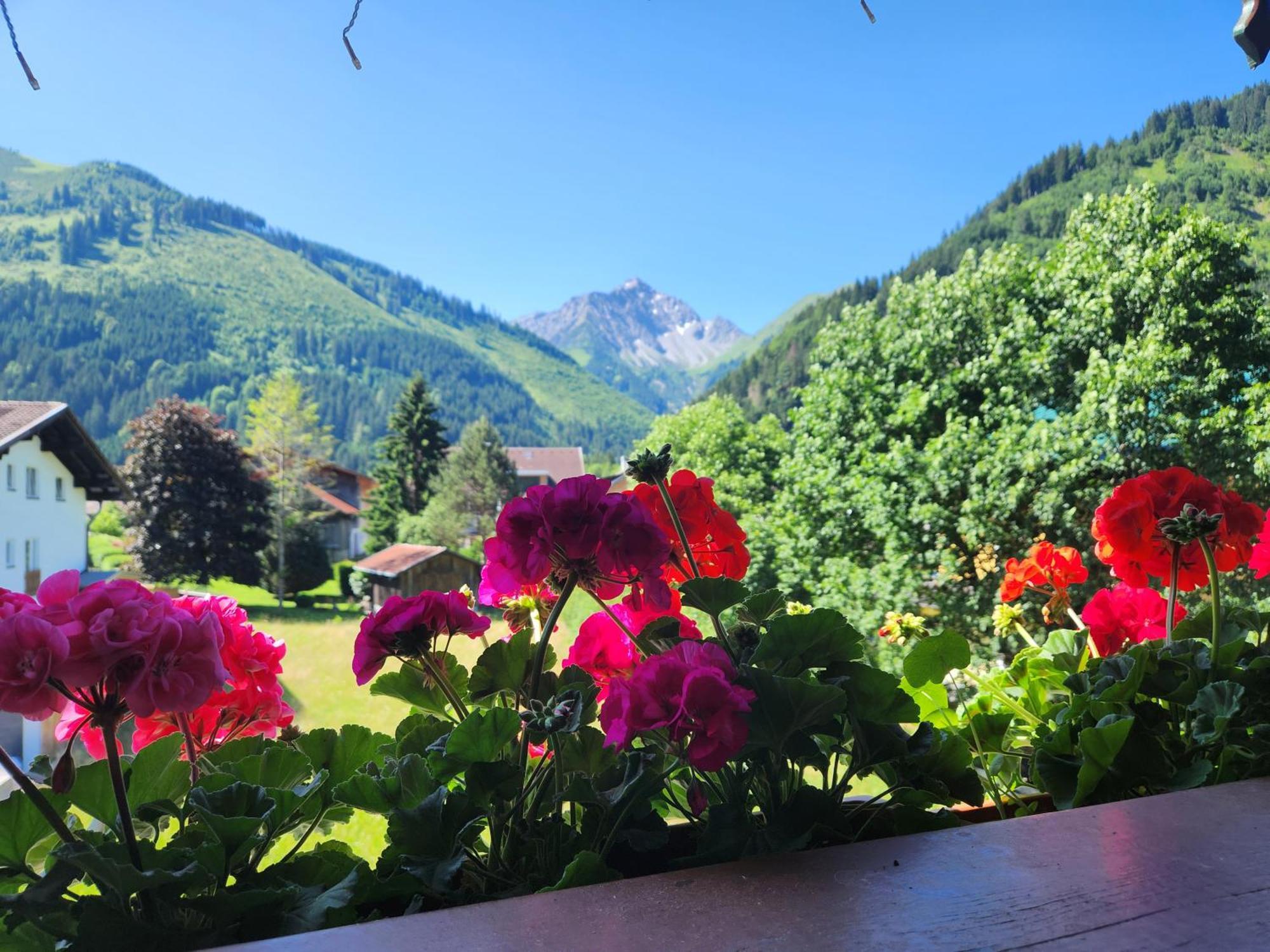 Am Muehlbach - Ferienwohnungen Luttinger Bichlbach Buitenkant foto